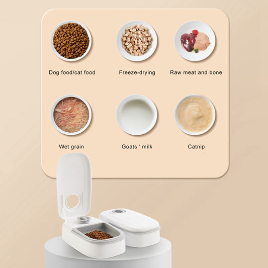 AutoPaw Food Dispenser