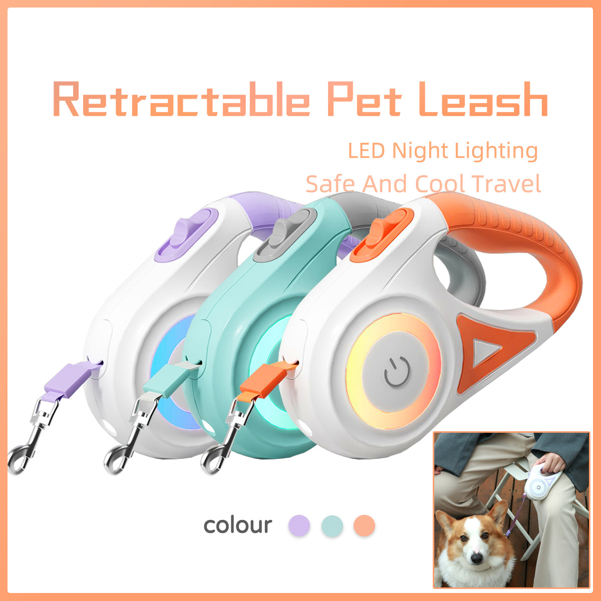 SafeWalk Retractable Leash