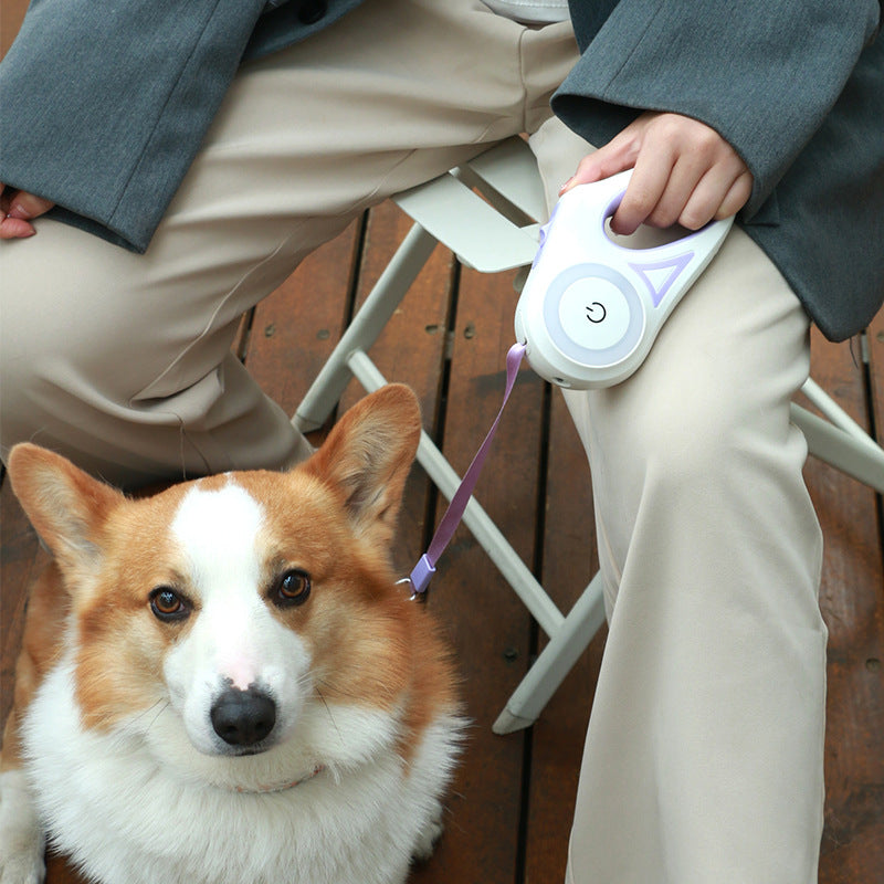 SafeWalk Retractable Leash